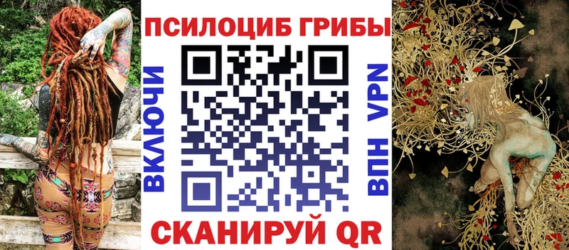 Купить закладки  Ангарск  Галлюциногенные грибы Magic Shrooms 